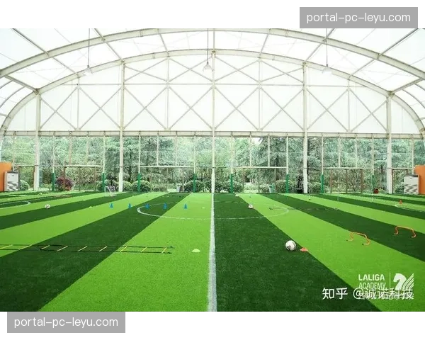 部分西甲球场计划缩窄草坪宽度，以压缩空间适应防守战术需求